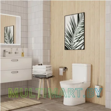 Унитаз IDDIS Drum DRU2DSEi24 картинка 4